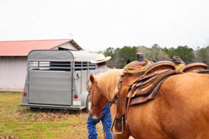 Trailering your horse