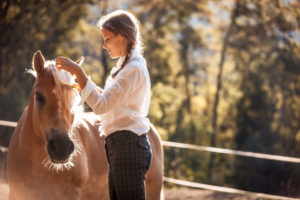 Horse and rider bond