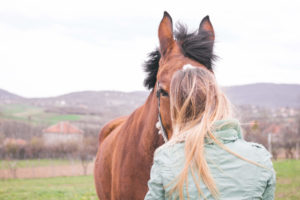 Rider and horse