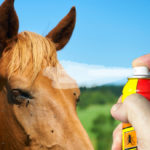 Fly sprays on horses