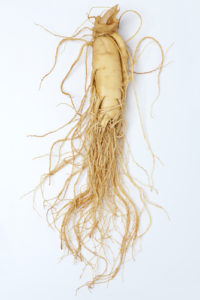 Panax ginseng for calm, well being, and performance