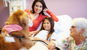 A therapy dog visits with a young patient