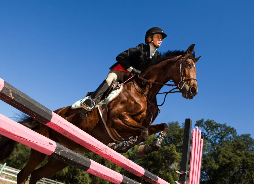 Long Story Short Leg Length Affects Your Riding Position Springtime