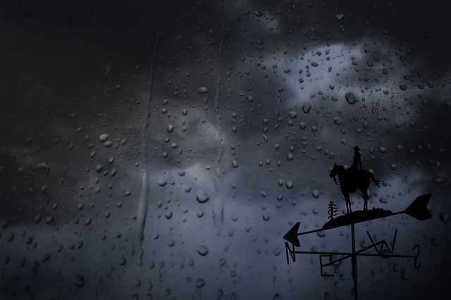 Horses During a storm