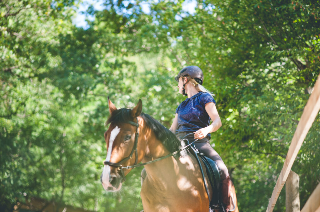 woman wearing a helmet riding horse on the trail in the summer