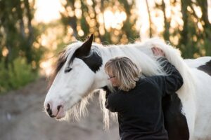 Can Horses Eat Celery?